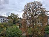 20251017_151956.jpg - 