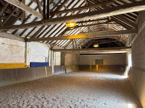 PHOTO-2025-09-25-16-37-07.jpg - 