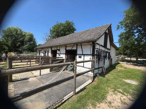 PHOTO-2025-09-25-16-36-07.jpg - 