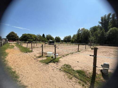 PHOTO-2025-09-25-16-36-00.jpg - 