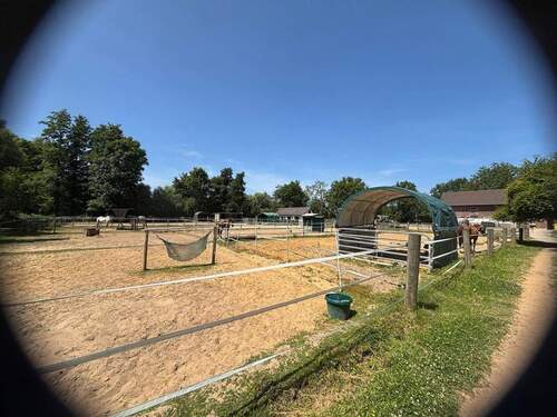 PHOTO-2025-09-25-16-36-30.jpg - 