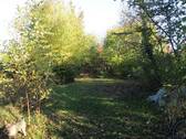 Garten hinten - 