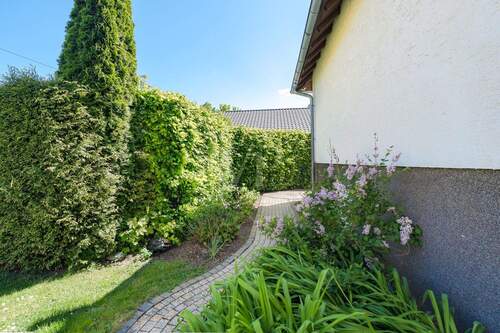 Gepflegte Außenanlage - 