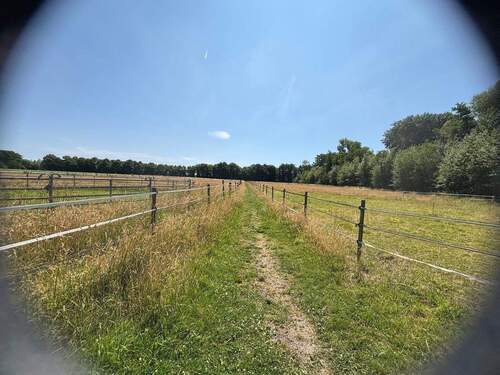 PHOTO-2025-09-25-16-36-47.jpg - 