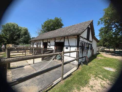 PHOTO-2025-09-25-16-36-07.jpg - 