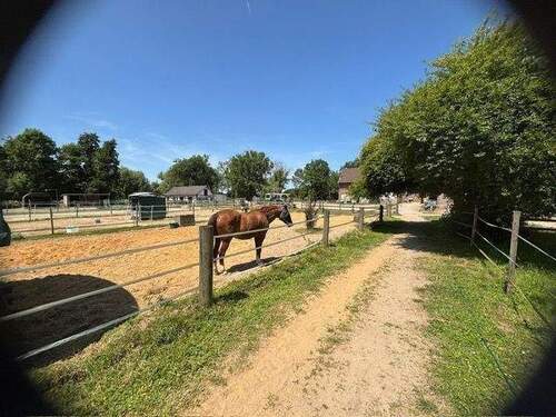 PHOTO-2025-09-25-16-36-21.jpg - 