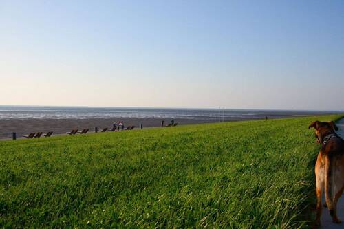 Trischendiek Strand - 