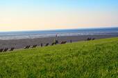 Trischendiek Strand - 