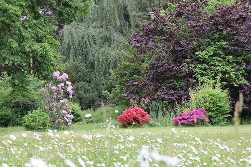 blühender Garten - 