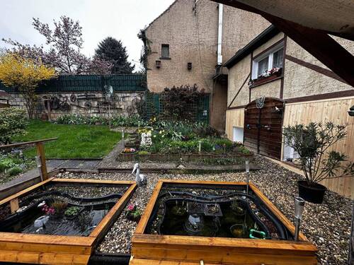 Garten (3).jpeg - 