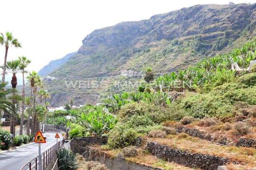 Authentisch kanarische Landschaft... - 