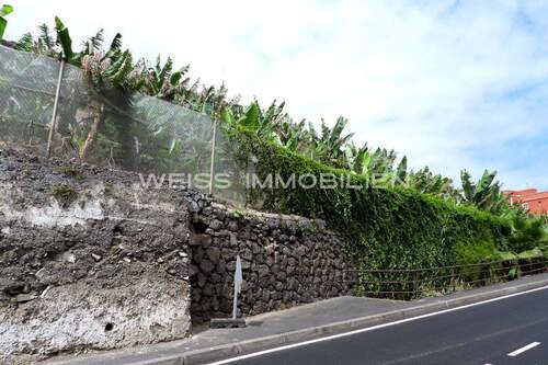 Lage erhöht zur Straße - 