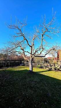 Bild 1 - Großzügiges EFH mit großem Grundstück in Schwülper OT Rothemühle