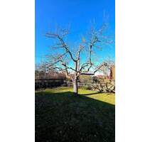 Großzügiges EFH mit großem Grundstück in Schwülper OT Rothemühle