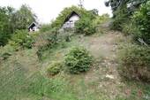 IMG_8210 - 