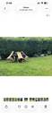 Bild 11 - 