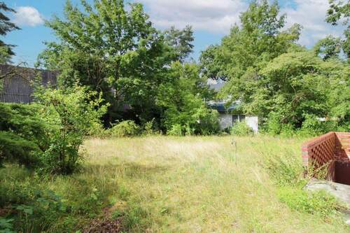 Garten - Einfamilienhaus in Berlin zum Kaufen