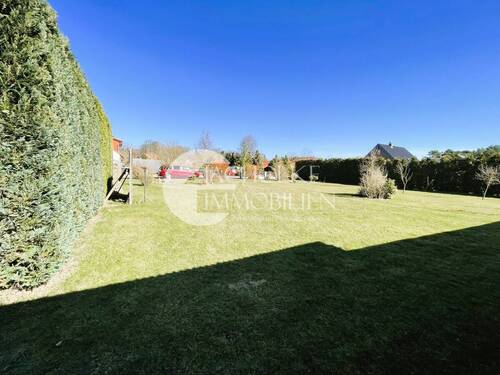 Wiese - 