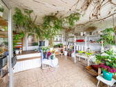 Bild 12 - 