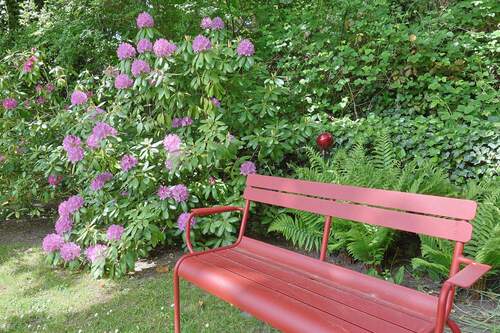 Sonnenplatz im Garten - 