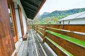 DSC_6131 - 