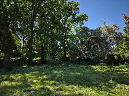 Garten m. Baumbestand - 