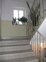 Treppenhaus - 2 Zimmer Etagenwohnung zur Miete in Chemnitz