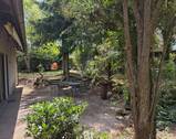 Ansicht Garten und Terrasse - 