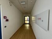 3.jpg - 2 Zimmer Büro in Hamburg