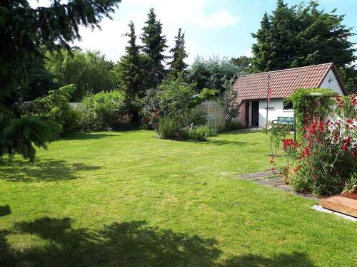 Blick in den Garten - 