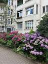 Blühender Innenhof - 