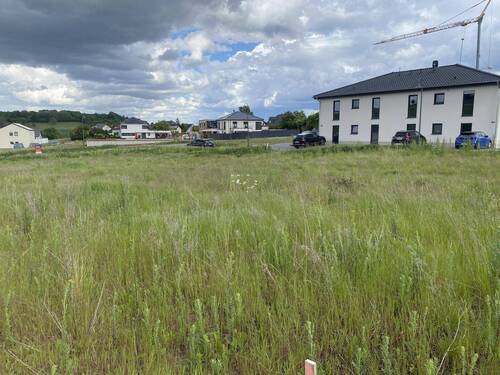 IMG_5863 - Grundstück zum Kaufen in Welschbillig