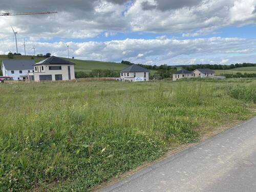 IMG_5862 - Grundstück in Welschbillig