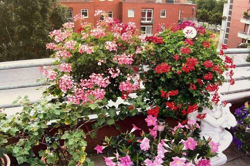 Dachterrasse im Sommer - 