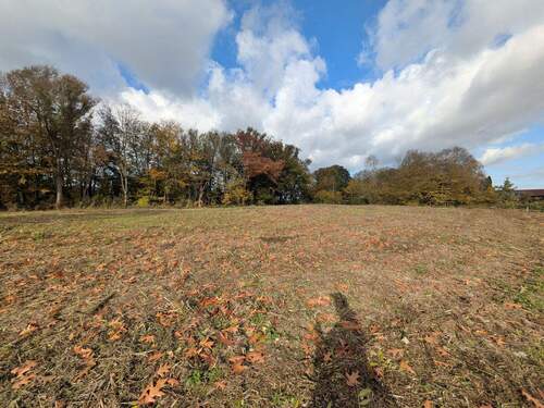 Blick Richtung Norden - 