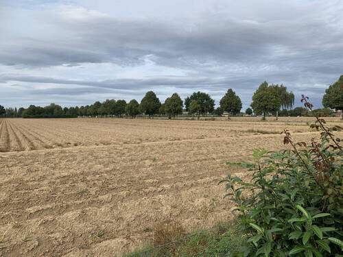 Aussicht hinten (Nord) - 