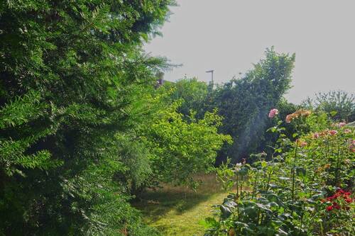 Garten vorne - 