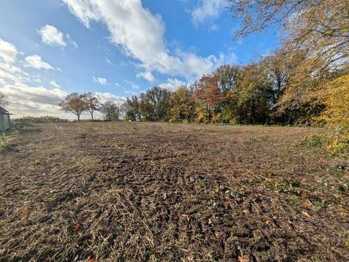 Blick Richtung Westen - 