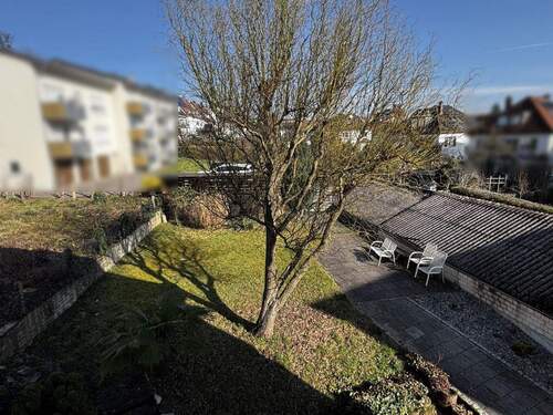 Blick in den Garten - 