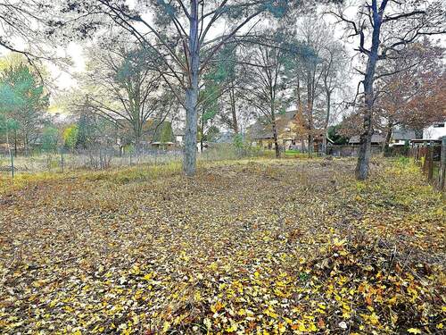 Grundstücksansicht von der Straße aus - Grundstück zum Kaufen in Oranienburg