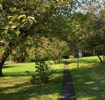 *2 Einfamilienhäuser auf einem Grundstück im beliebten OT Dreilinden* - Osterode am Harz