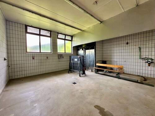 Metzgerei-Schlachthaus - 