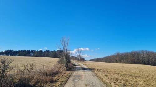 Umgebung - Grundstück in Ziegenhain