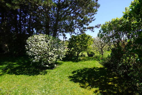 Garten - 