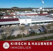 Vielseitig nutzbare Gewerbehalle auf großzügigem Grund in Neumarkt Gewerbegebiet Mooswiese