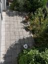 Terrasse 1 - 