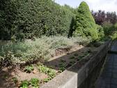 Hochbeet - 