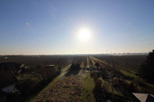 Aublick auf Apfelfelder vom DG - 
