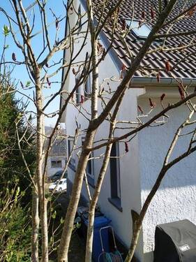 Nordwestl. Ansicht - 