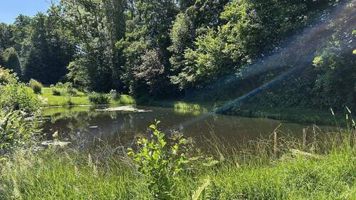 Idylle in dörflicher Umgebung - 